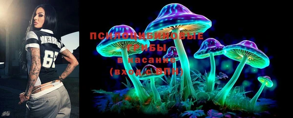 ПСИЛОЦИБИНОВЫЕ ГРИБЫ Осташков
