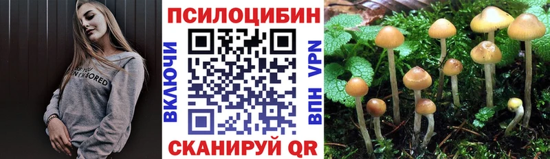 Псилоцибиновые грибы мухоморы  даркнет сайт  Калач-на-Дону 