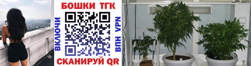 Бошки Шишки AK-47 Калач-на-Дону